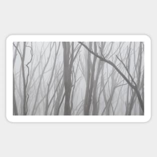 Bare Trees on Lake Mountain Sticker